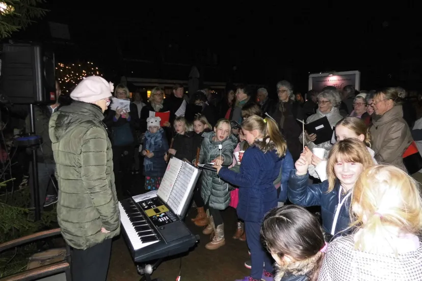 kerstboom wolfheze 2016 1