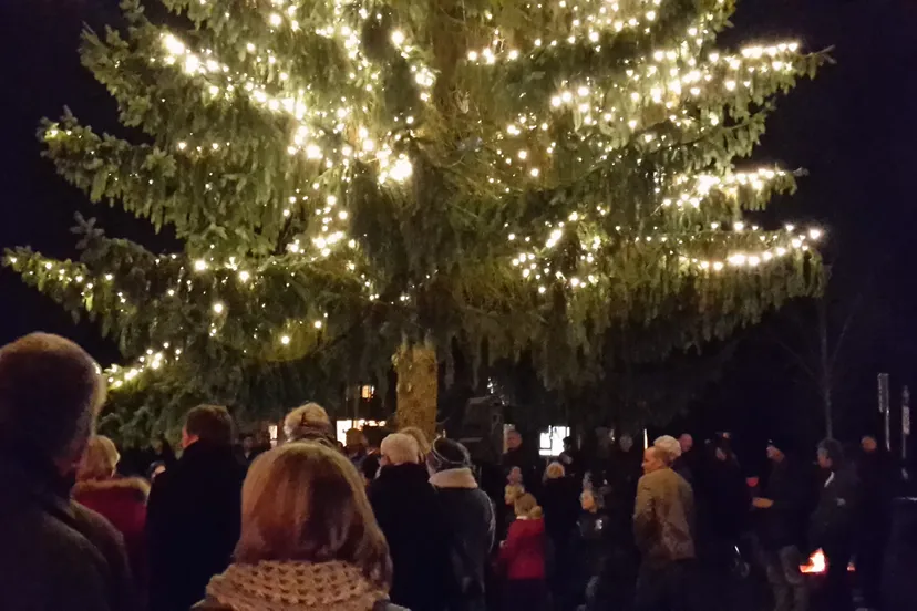 kerstboom wolfheze 7