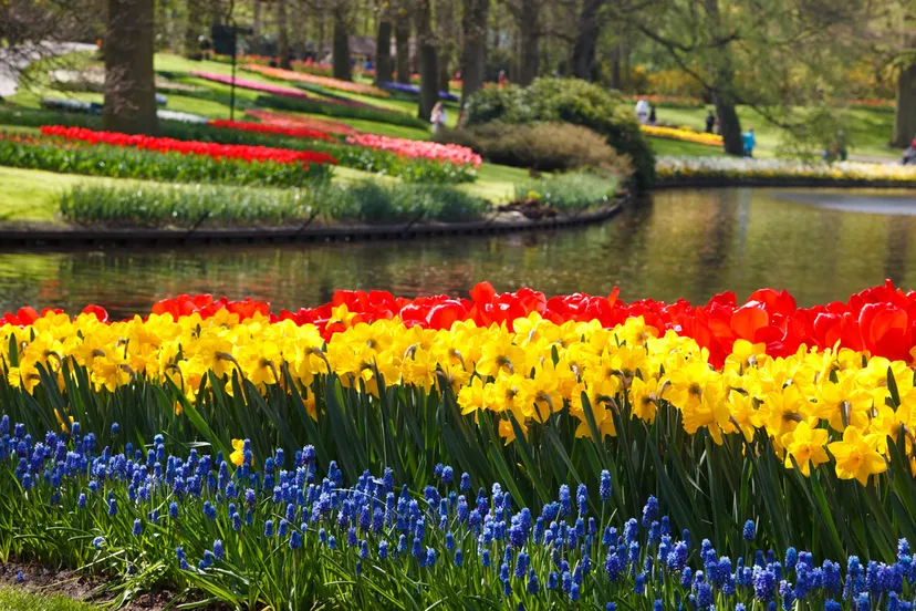 keukenhof