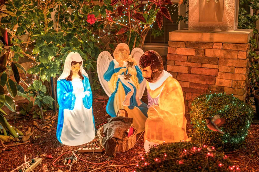 kribbe michelle raponi