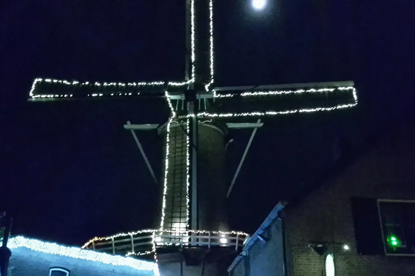 molen by night