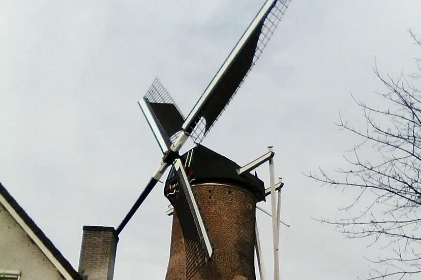 molen wieken