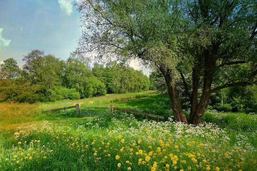 nederlands landschap mabelamber pixabay