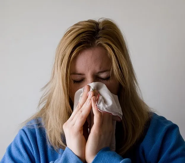 niezen mojpe pixabay