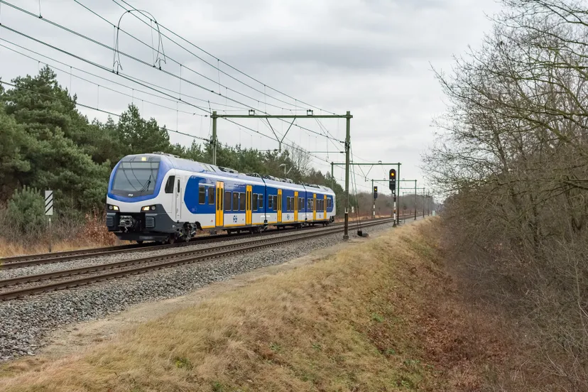 ns flirt rob dammers cc by 20 via flickr