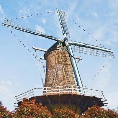 photo 2019 03 03 12 56 17