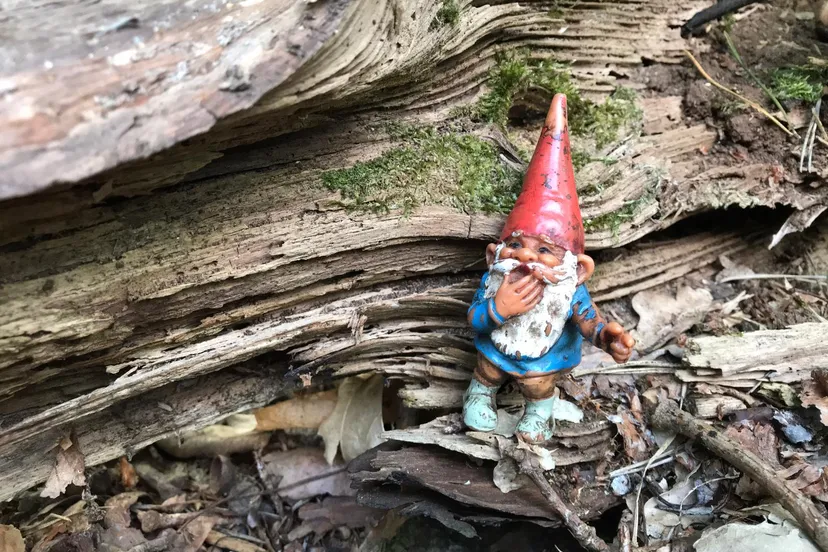 photo 2019 05 08 12 50 39