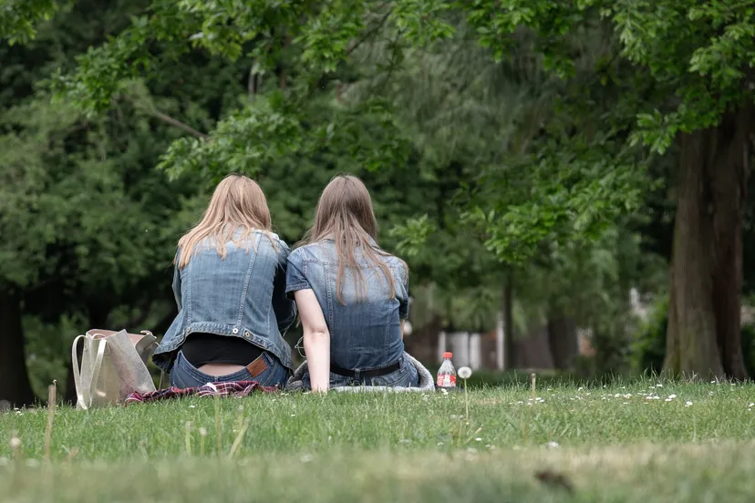 picknick tama66 pixabay