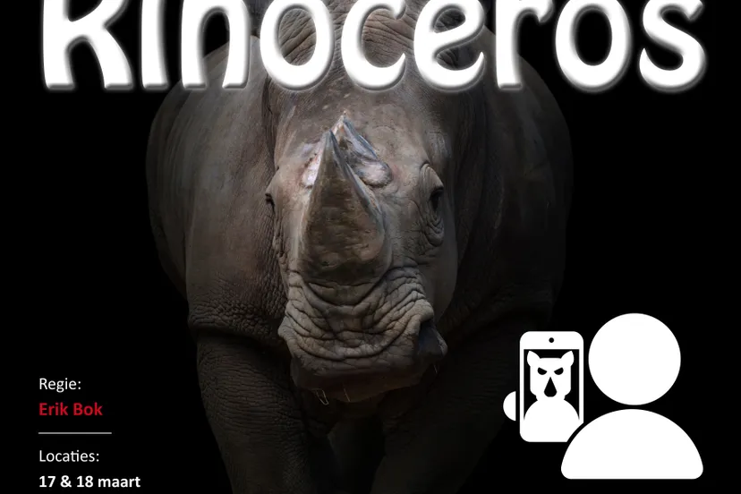 rhinoceros1final