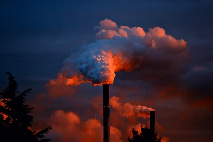 rook pijp juergenpm pixabay