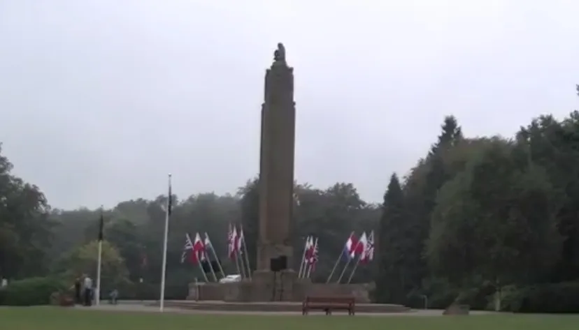 rtv rijnstreek de naald