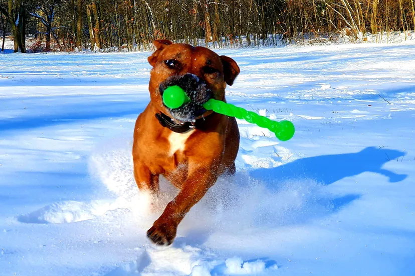 teunis van baaren beekdal renkum 1