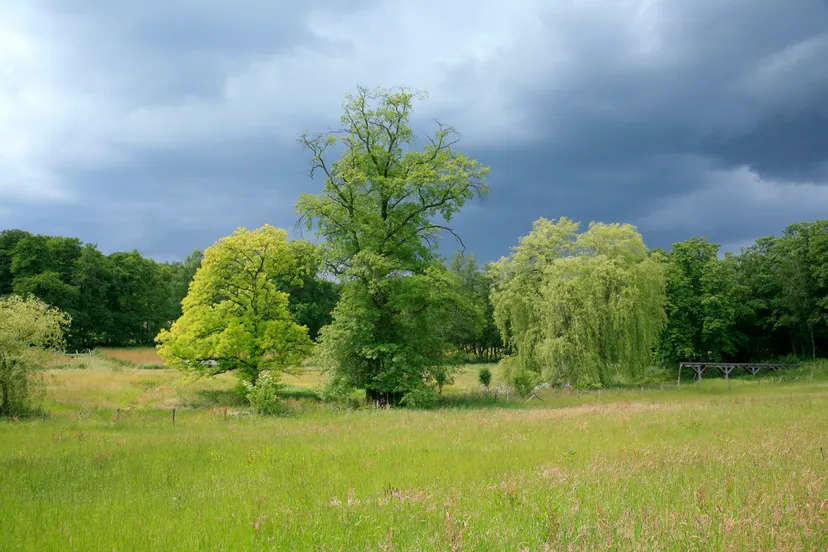 tuin de lage oorsprong