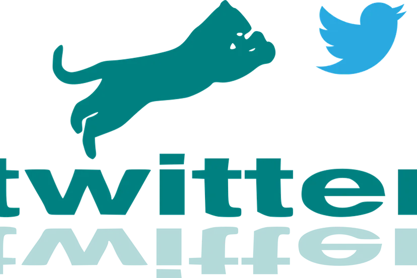 twitter habergibitv pixabay