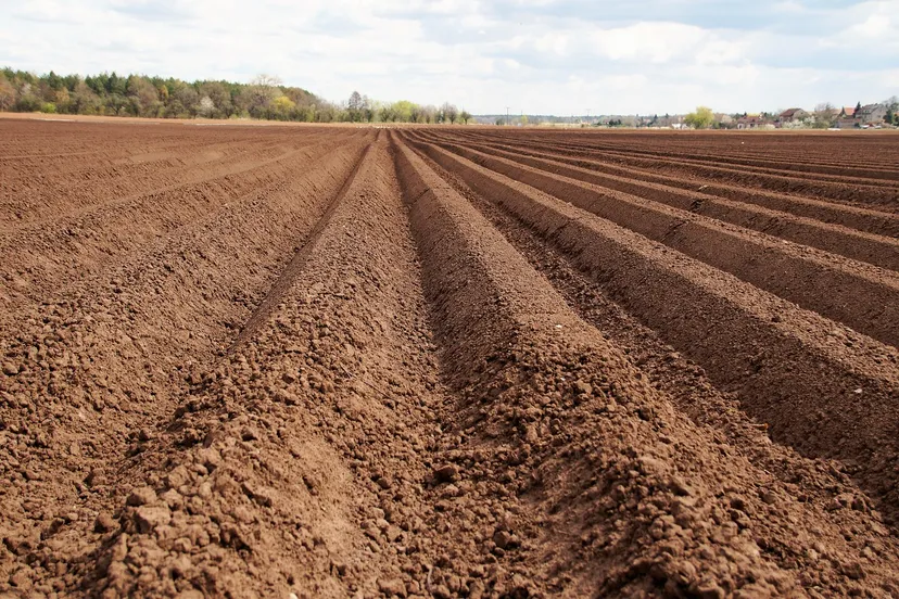 veld ivabalk pixabay