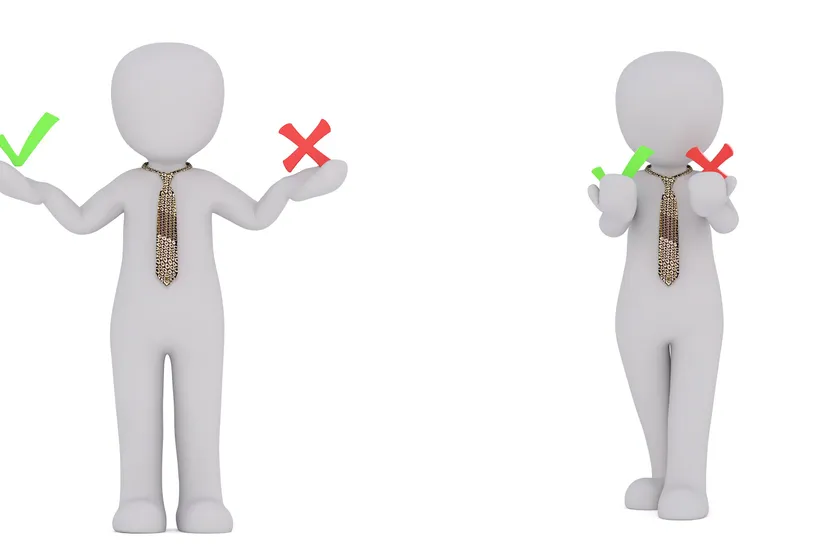 voordeel nadeel peggy und marco lachman anke pixabay