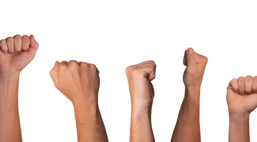 vuisten niekverlaan pixabay