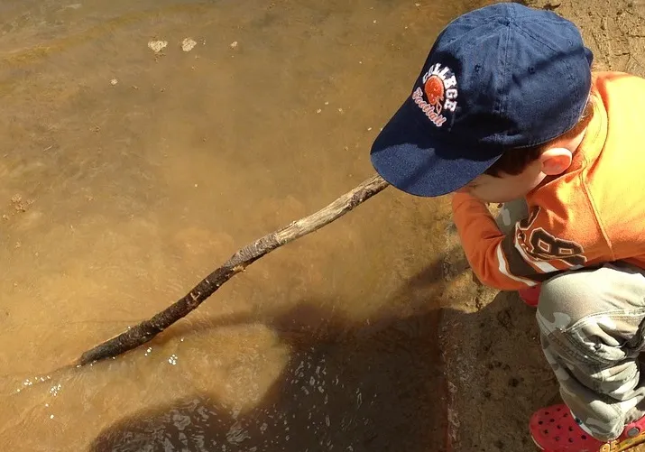 waterdieren zoeken penchr pixabay