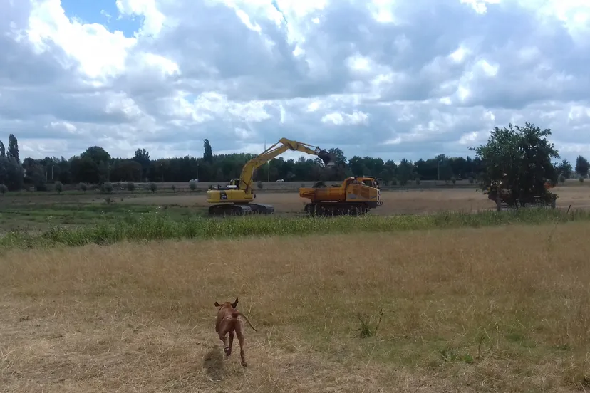 werkzaamheden renkums beekdal