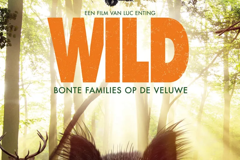 wild poster 70x100cm 3000px 0