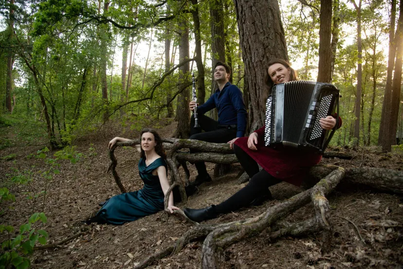 hetlinnaeustrio3boom scaled