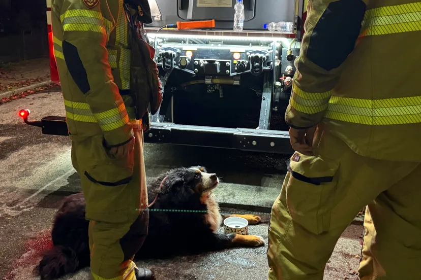 09 11 woningbrand hilhorstweg