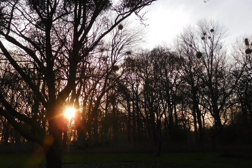 2024 dec lezing maretakken web