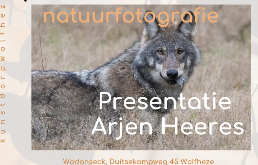 arjen heeres februari