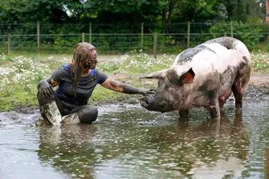 documentaire sam foto