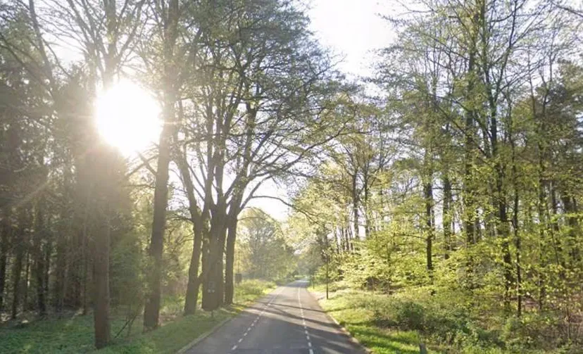 nico bovenweg google maps