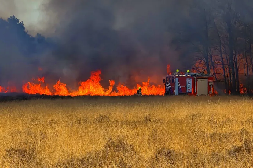 03 04 heidebrand ede