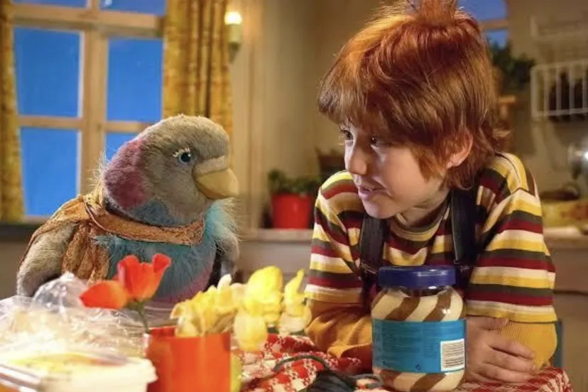 pluk van de petteflet