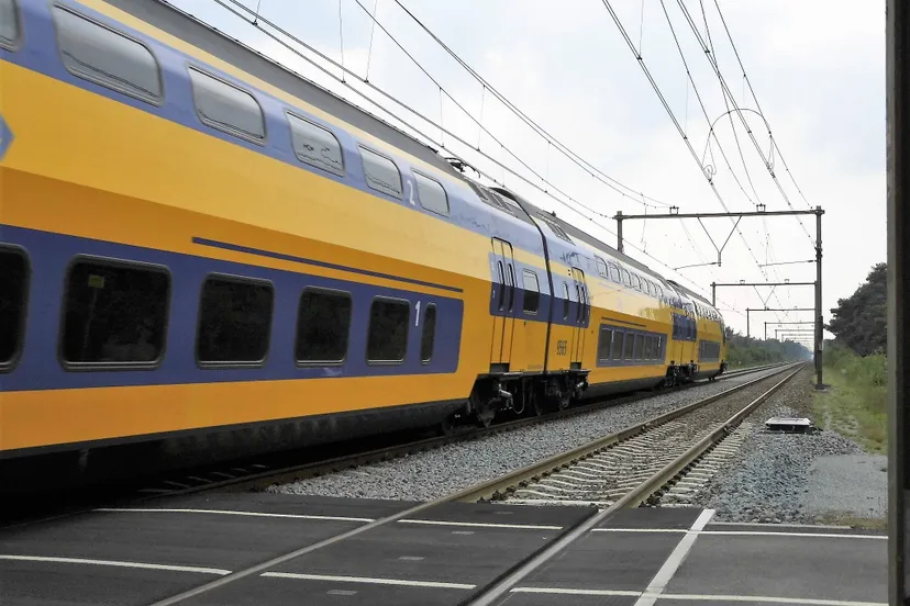 spoor-telefoonweg-wolfheze-7