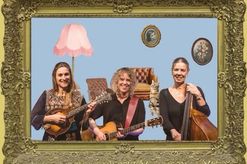 I beg your pardon top