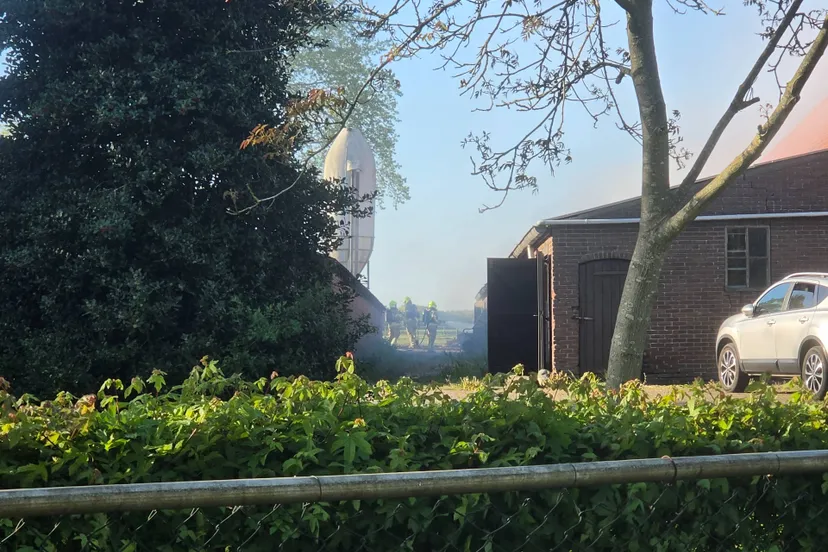 28-4 brand heelsum heide