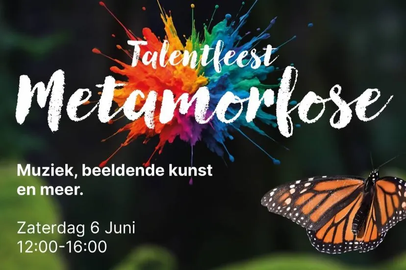 Talantfeest top