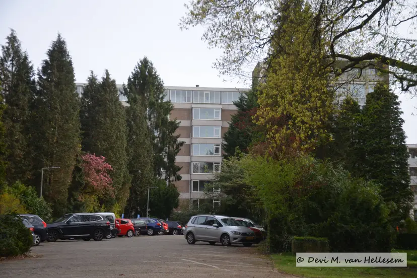 Valkenburcht (3)