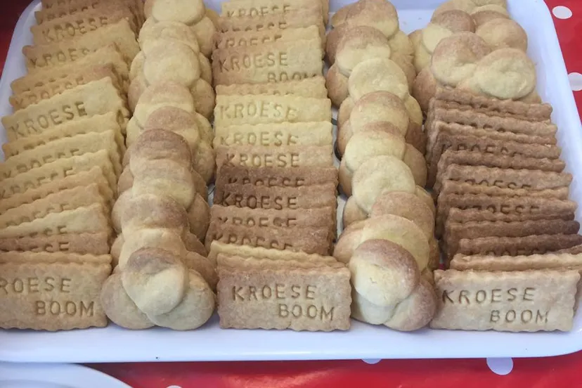 12495082 692093780893958 3941946811171193822 n