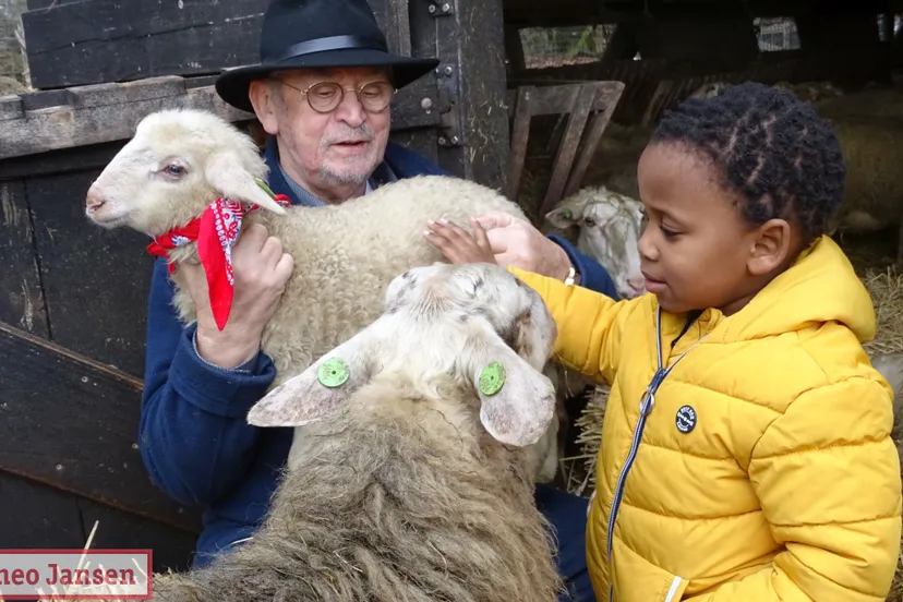 17 02 2021 adoptie 1e lammetje door hans westdijk rhedense schaapskudde 12