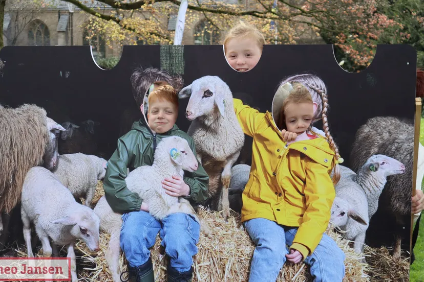 1e lammetjesdag rondom dorpskerk rheden 2024 1