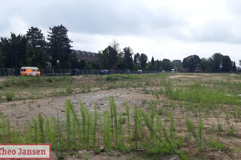 200 flexwoningen rheden haveland rhedennieuwsnl