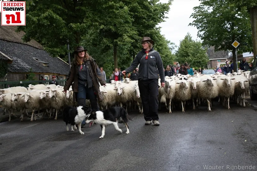 2015 06 20 schaapscheerdersfeest 011