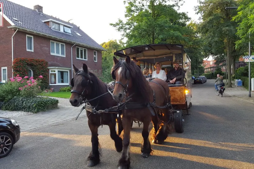 2015 09 11 barbecue de arnhorst 0011