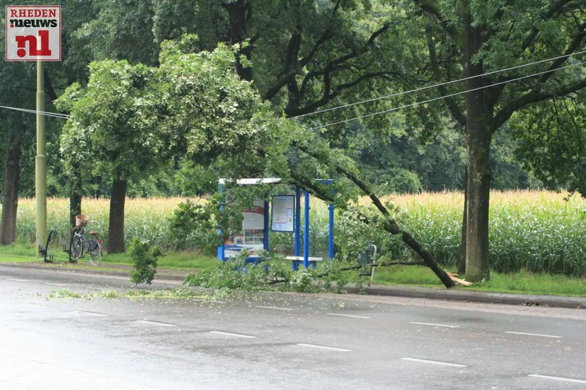 2015 09 19 tak op bovenleiding velp 001