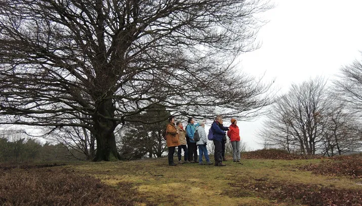 2016 01 17 stevige winterwandeling rheden 1