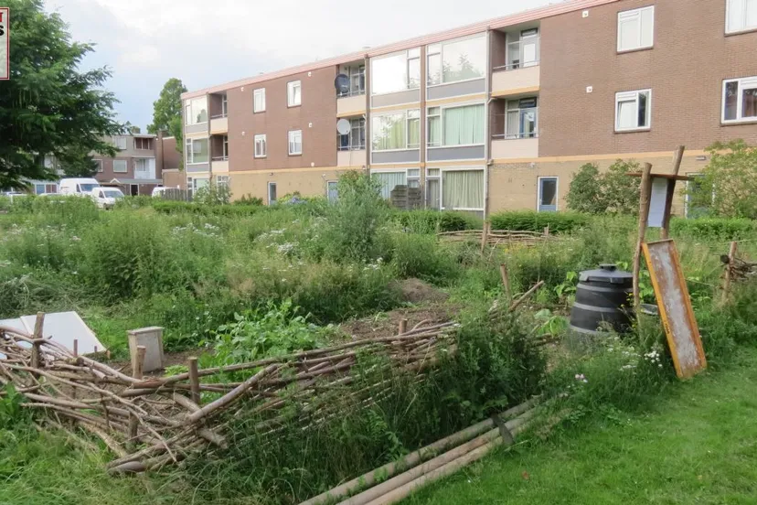 2016 07 01 buurtmoestuin rietgansplein kemphaanplein 003