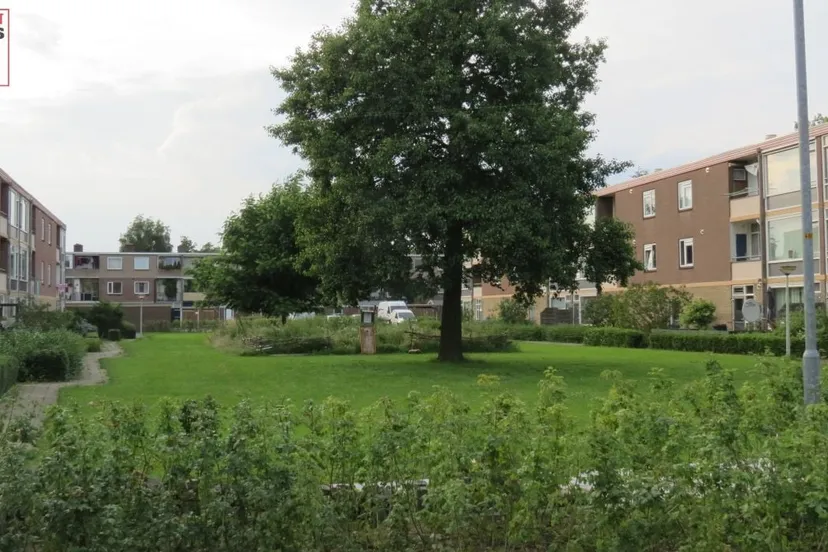 2016 07 01 buurtmoestuin rietgansplein kemphaanplein 007
