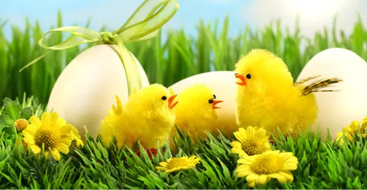 2017 03 15 afbeelding paasmarkt rhederhof