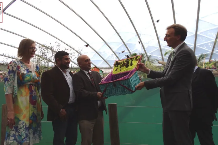 2017 07 12 burgers mangrove 005