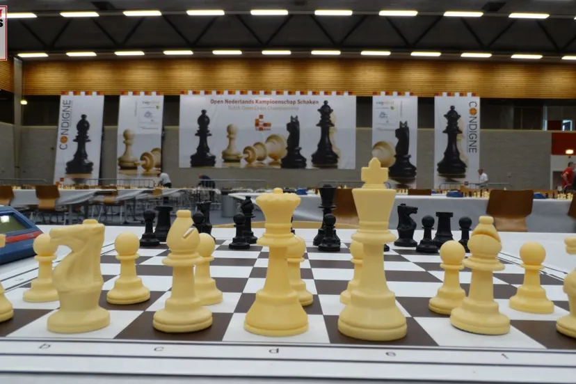 2017 07 25 pb open nk schaken dieren 003